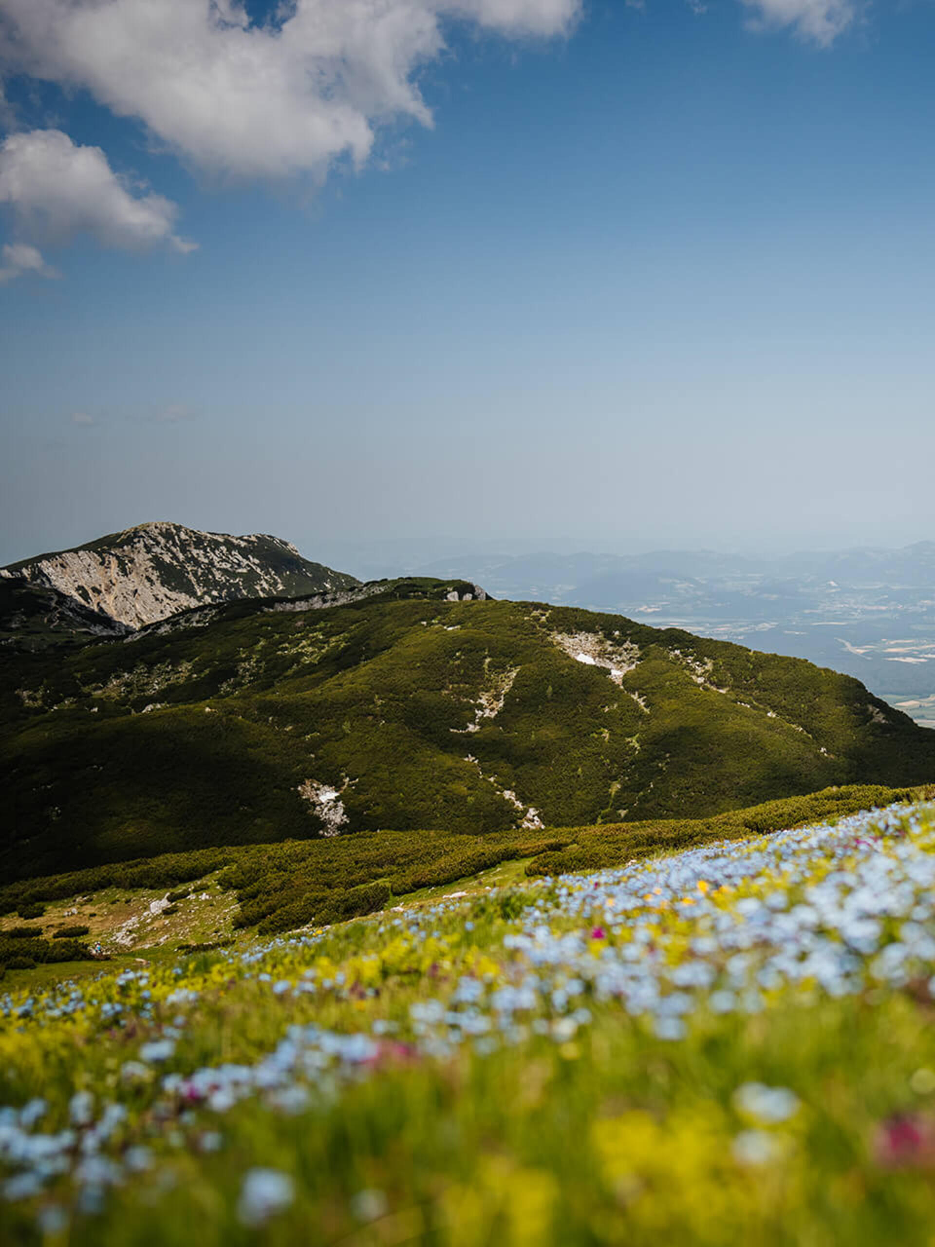 Wandern auf der Petzen